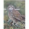 Image 2 : Na Pueo Original Watercoler by Noni Floyd, Framed & Matted 25" x 29"