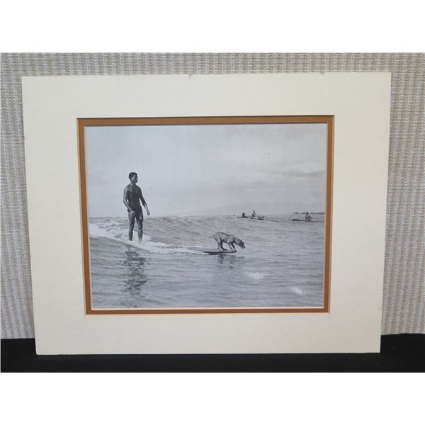 Surf Dog Hanging Ten at Waikiki Beach Circa 1930+ Photographic Image, Matted 14" x 11