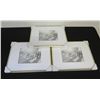 Image 1 : Qty 3 Metal 14" x 18" Photo Frames, Matted for 8" x 10" Art, New