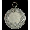 Image 2 : United States Athletic Union Gymnastic Silver Medal, 1924
