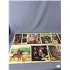 Image 2 : 20+ Vintage Western Movie Lobby Cards. 11" x 14"
