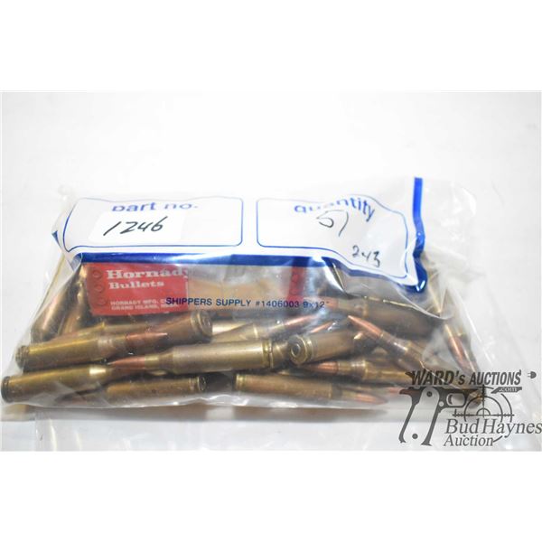 51 rounds of .243 reloads