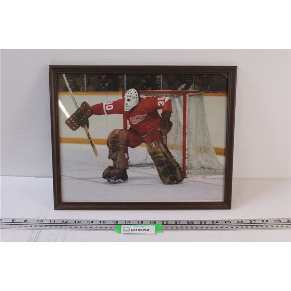 Denis DeJordy Detroit Red Wings Goalie Picture in Frame - 15" x 12"