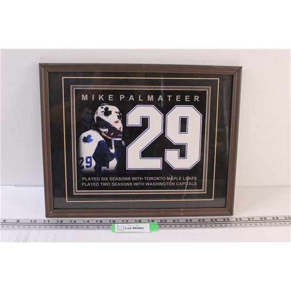 Mike Palmateer Goalie Picture in Frame - 15" x 12"