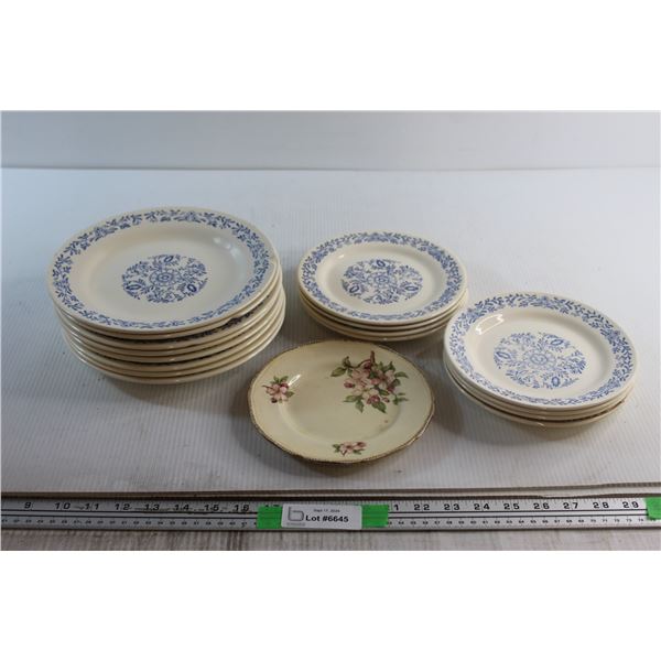 (17) Assorted Plates - have Chips