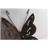Image 4 : (2) Decorative Metal Butterflies and Wind Chime