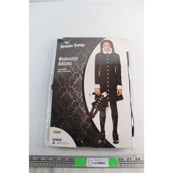 Spirit The Addams Family - Wednesday Addams Dress - Child Size L
