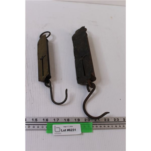 (2) Vintage Family Hanging Scales