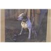 Image 2 : Hunting Dog Picture in Frame - 20" x 16"