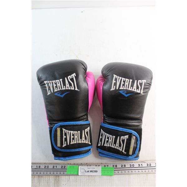 Powerlock Everlast Boxing Gloves