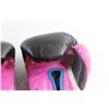 Image 3 : Powerlock Everlast Boxing Gloves