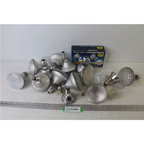 Flood Lights & 100 watt Bulbs (used & new)