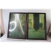 Image 1 : (2) Pictures Framed - Both Measure 17 3/4" x 25 1/2"