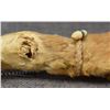 Image 8 : PLAINS MEDICINE BUNDLE