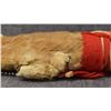 Image 9 : PLAINS MEDICINE BUNDLE