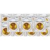 Image 1 : Ten (10) $20 Saint Gaudens Gold PCGS MS64