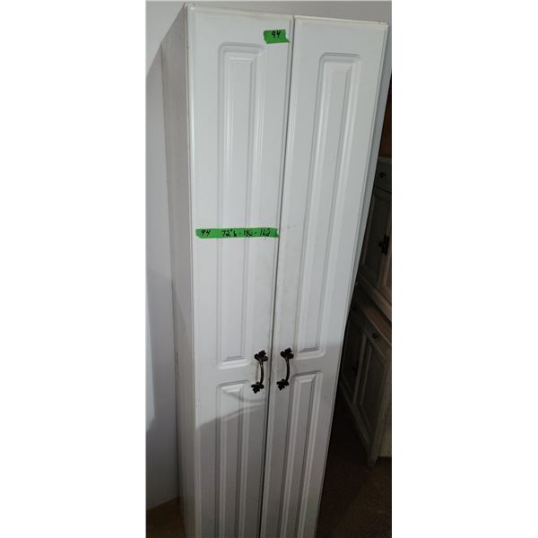 Cabinet with Shelves and Doors