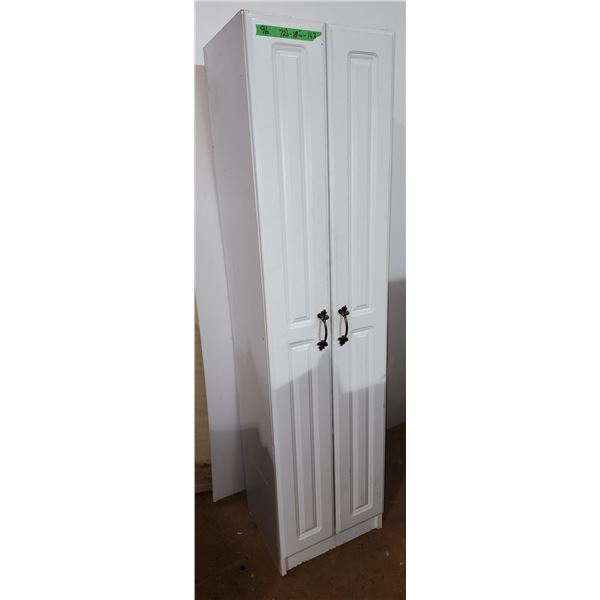 Cabinet with Shelves and Doors