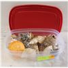Image 1 : SEA SHELLS