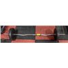 Image 1 : CURL BAR WITH 25 LBS OF WEIGHTS
