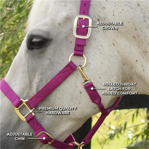 SHEDROW Horse Deluxe Halter Double Nylon w/Adjustable Crown & Chin Strap, Rolled Throat Latch Halter