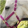 Image 1 : SHEDROW Horse Deluxe Halter Double Nylon w/Adjustable Crown & Chin Strap, Rolled Throat Latch Halter