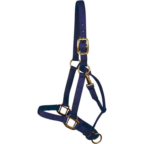 SHEDROW Horse Deluxe Halter Double Nylon w/Adjustable Crown & Chin Strap, Rolled Throat Latch Halter