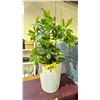Image 1 : FAUX POTTED PLANT 28" TALL