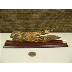 7" long, relief carved mammoth ivory 7 owls #M073 (2)