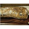 Image 4 : Mammoth ivory 10" long, relief carved of 4 moose #M036 (2)