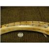 Image 4 : Fossilized ivory cribbage board by Romeo Katexac of Nome, AK circa 1970 with carved fossilized walru