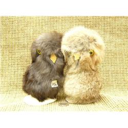 2 fur owls mounted on clam shells (74)