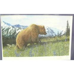 Matted print by Charles Gause of grizzly 176/300, some water damage to lower right hand corner (3)