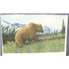 Image 1 : Matted print by Charles Gause of grizzly 176/300, some water damage to lower right hand corner (3)