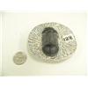 Image 1 : Ancient fossil 3.5" (3)