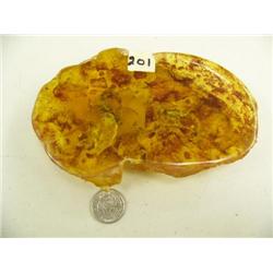 6"x3.75" piece of amber like chunk with early scorpion type insect and leaves (3)
