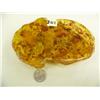 Image 1 : 6"x3.75" piece of amber like chunk with early scorpion type insect and leaves (3)