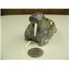 Image 3 : 5" soapstone walrus by Wayne Pushruk - tusk needs to be glued (3)