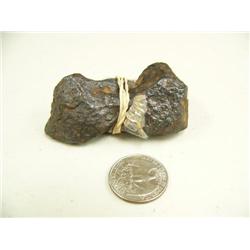 CHOICE on 5: meteorites: Campo Del Circo, Argentina 1547 (3)