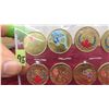 Image 2 : 2020, 21,22 (12) Colored Loonies