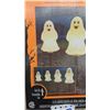 Image 2 : 2 Boxes of Ghost Pathway Blow Molds 