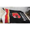 Image 1 : 2 NHL Sunbeam Electric Blankets Calgary + Chicago 