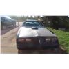 Image 2 : 1981 Firebird Transam T-Roof : 4 Wheel Disc Brakes, Very Solid Car with Very Little Surface Rust, 35