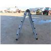 Image 1 : Multi Ladder