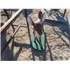 Image 2 : Concrete Deer Lawn Ornament 33'' H x 28'' L 