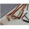 Image 2 : 5 Canes/Walking Sticks (1) Metal (4) Wood 
