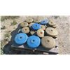 Image 1 : Pallet Lot: 18 Blue and Gold Weights 5-25lbs 