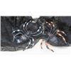 Image 9 : Halloween Decorations: Lights, DVDs, Gargoyle, Masks, Candy Bowl, 