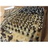 Image 6 : Quantity of New Drill Bits & Router Bits 