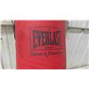 Image 2 : Everlast Punching Bag 35'' x 12'' 